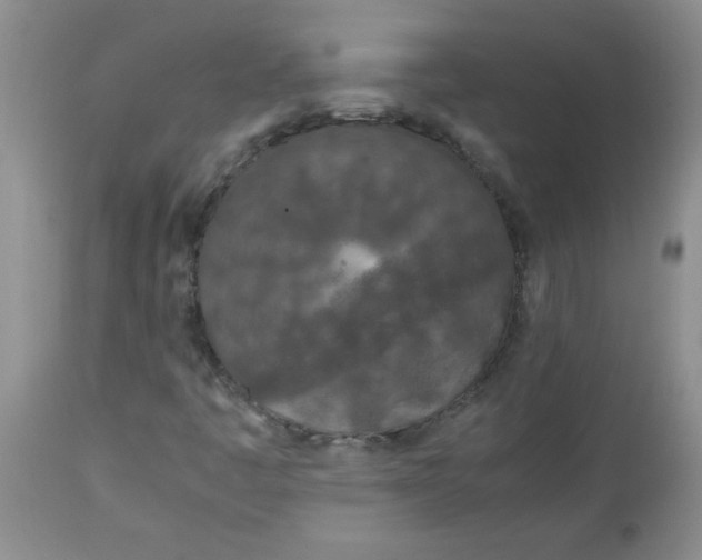 X0000112791445200909111200