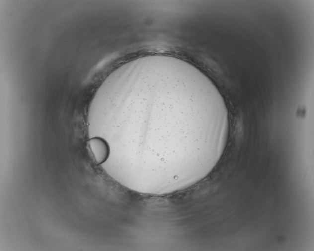 X0000112791446200909111200