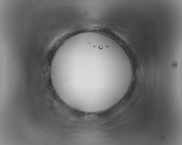 X0000112791447200909111200