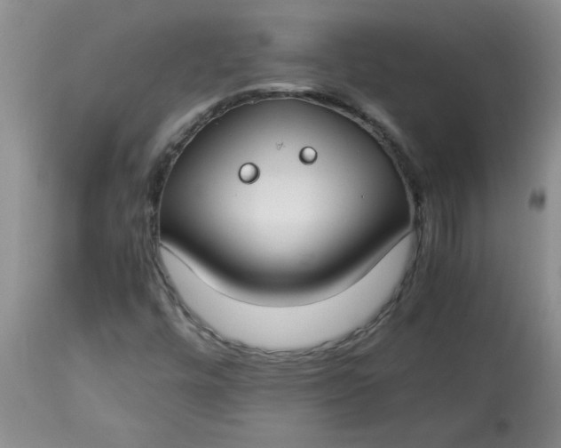 X0000112791448200909111200