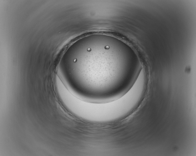 X0000112791449200909111200