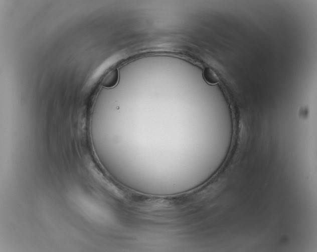 X0000112791450200909111200