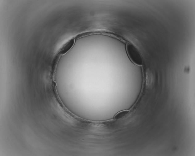 X0000112791452200909111200