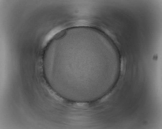 X0000112791453200909111200