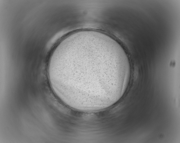 X0000112791454200909111200