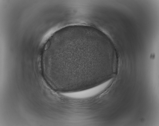 X0000112791455200909111200