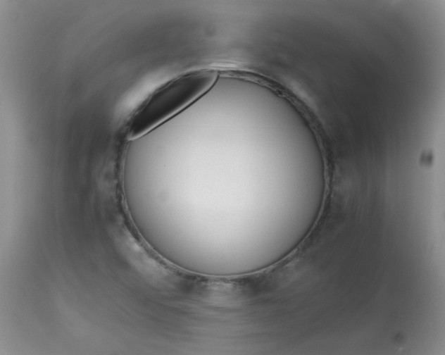 X0000112791456200909111200