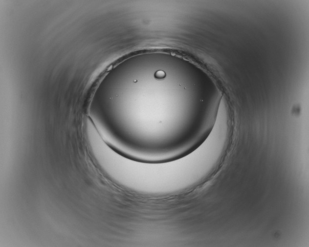 X0000112791457200909111200