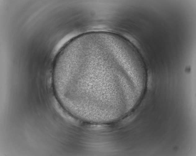 X0000112791458200909111200