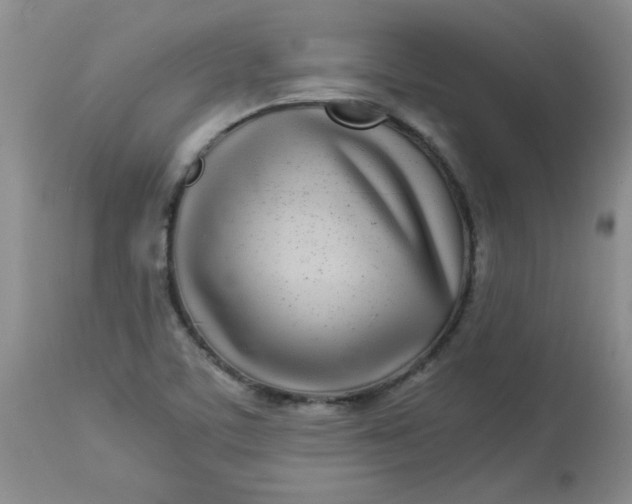 X0000112791459200909111200