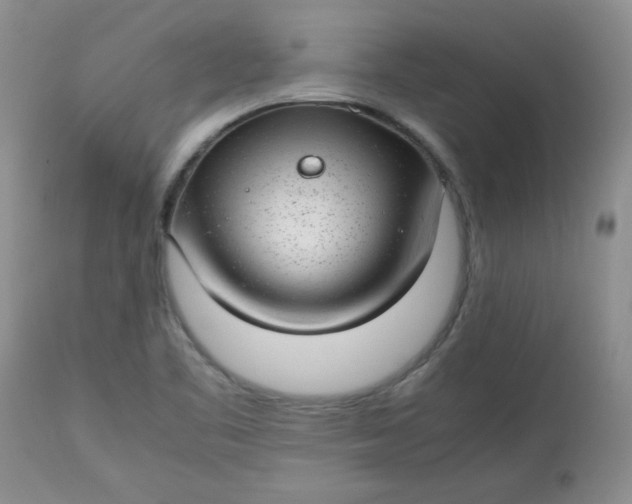 X0000112791461200909111200