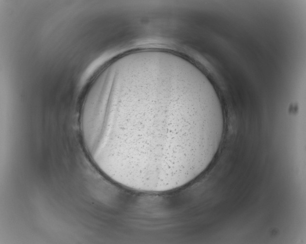 X0000112791462200909111200