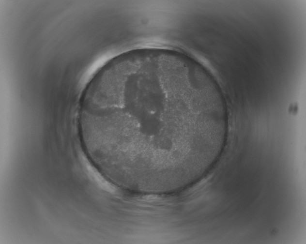 X0000112791463200909111200