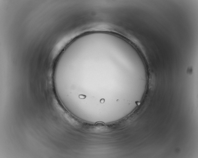 X0000112791464200909111200