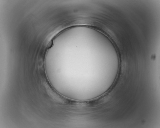 X0000112791465200909111200