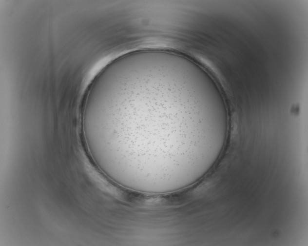 X0000112791467200909111200