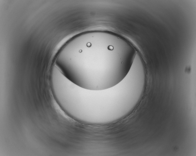 X0000112791468200909111200