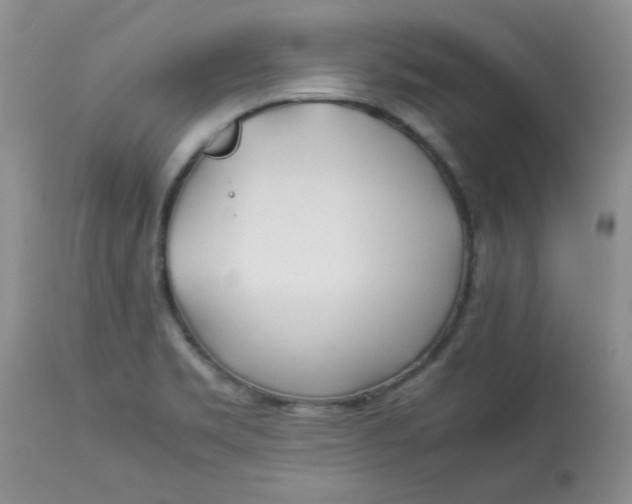 X0000112791469200909111200