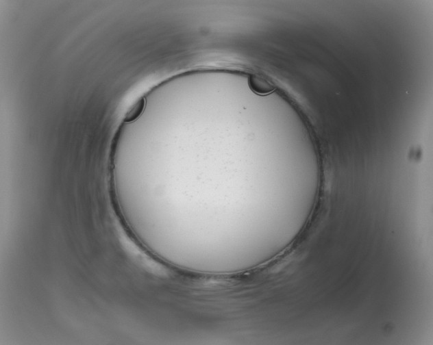 X0000112791471200909111200