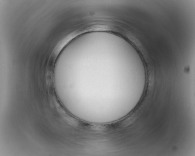 X0000112791473200909111200