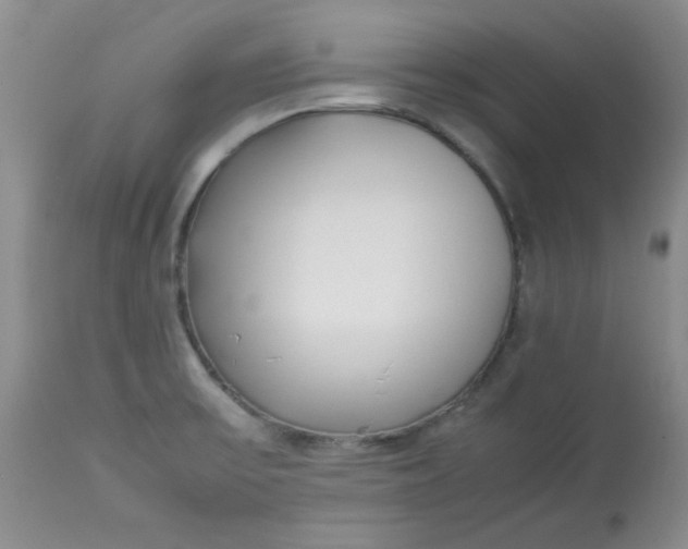 X0000112791475200909111200