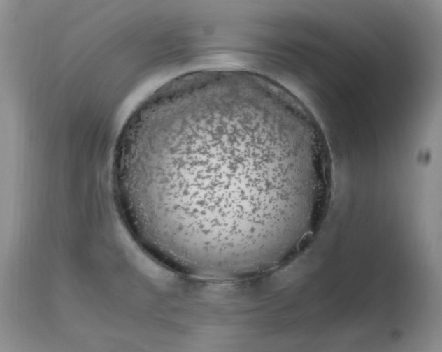 X0000112791477200909111200