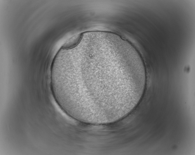 X0000112791479200909111200