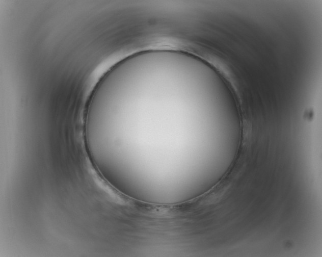 X0000112791480200909111200