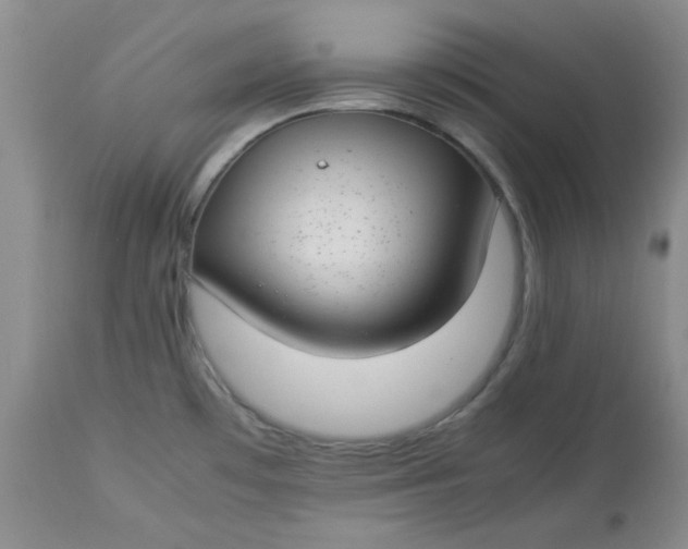 X0000112791481200909111200