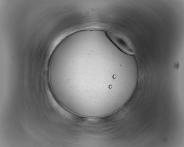 X0000112791483200909111200