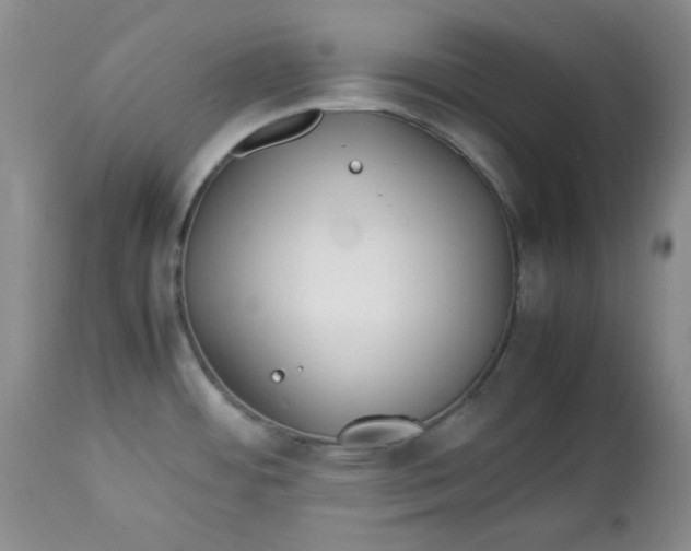 X0000112791484200909111200