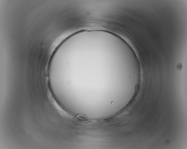 X0000112791485200909111200