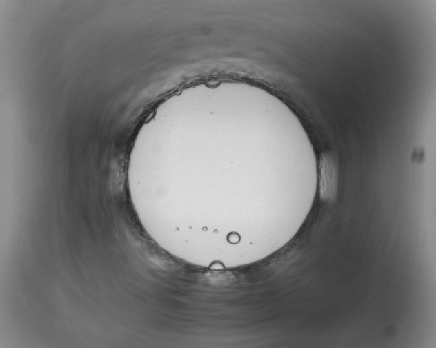 X0000112791491200909111159