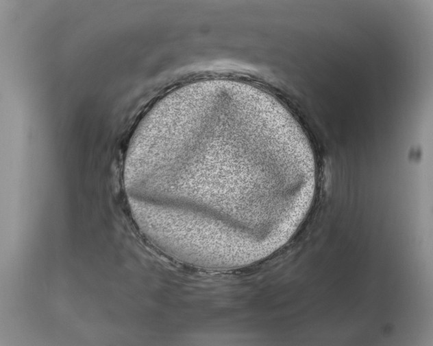 X0000112791493200909111159