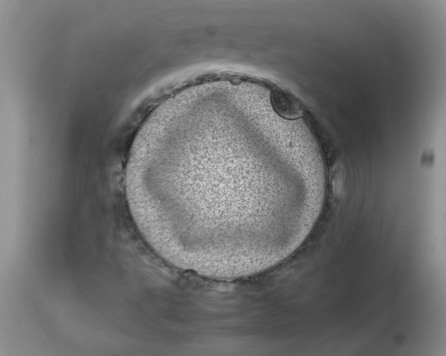 X0000112791495200909111159