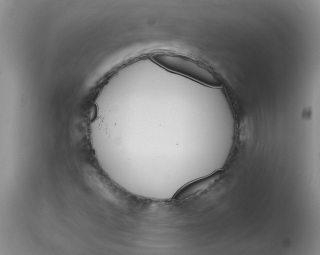 X0000112791496200909111159