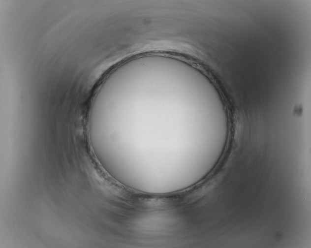 X0000112791497200909111159