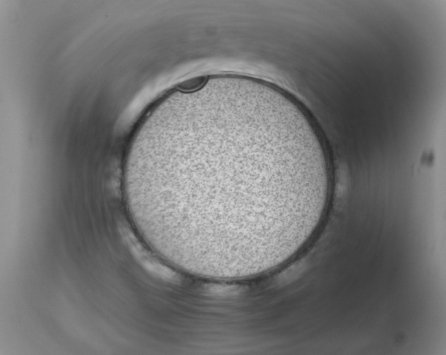 X0000112791499200909111159