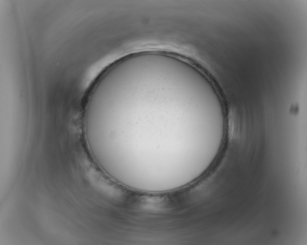 X0000112791501200909111159