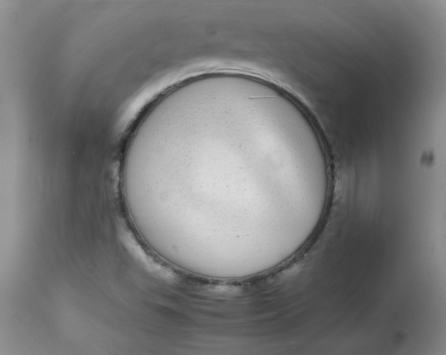 X0000112791503200909111159