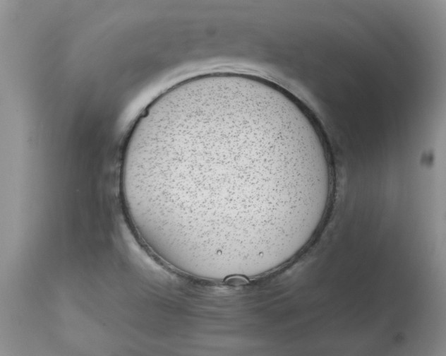 X0000112791504200909111159