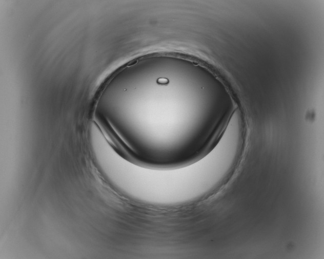 X0000112791505200909111159