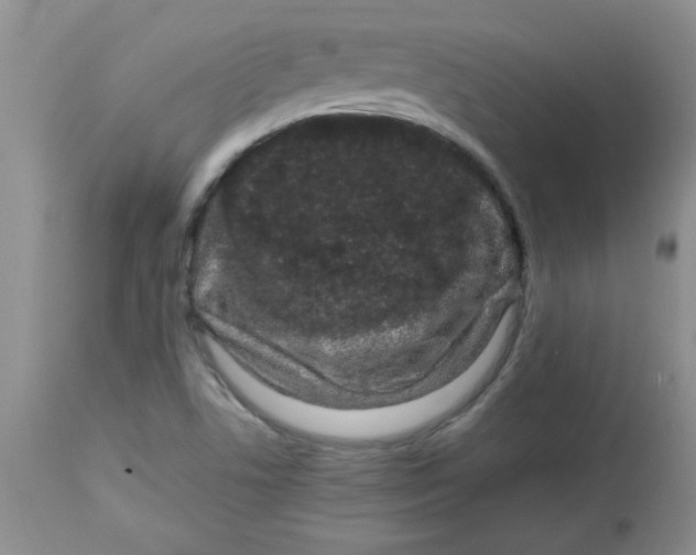 X0000112791506200909111159