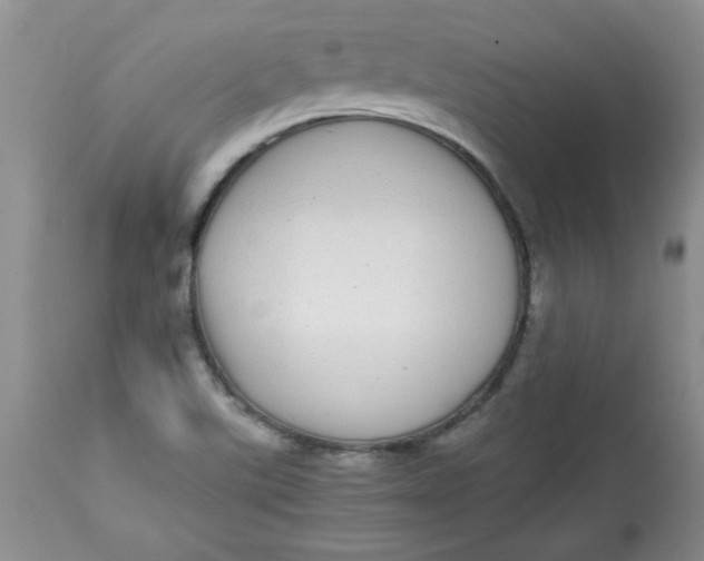 X0000112791507200909111159