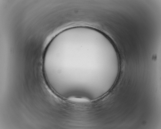 X0000112791508200909111159