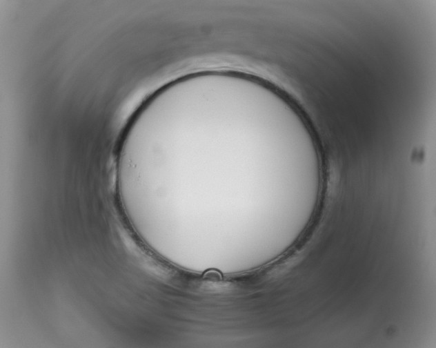 X0000112791509200909111159