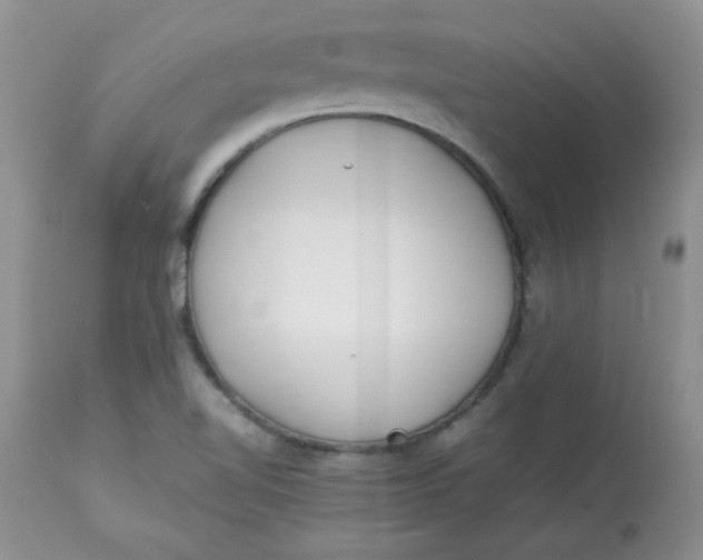 X0000112791510200909111159