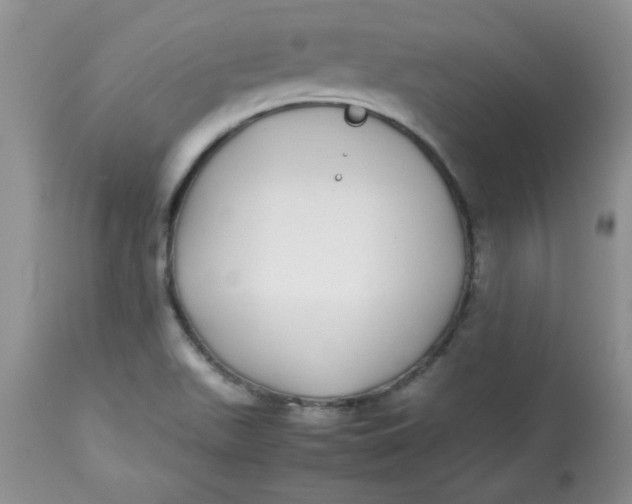 X0000112791511200909111159