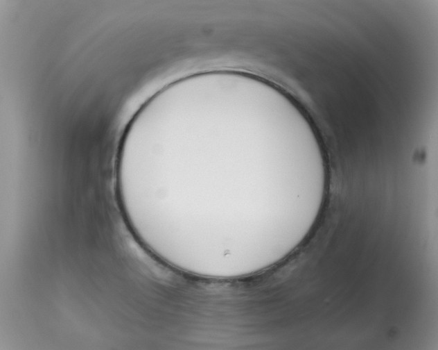 X0000112791512200909111159