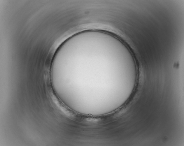 X0000112791513200909111159